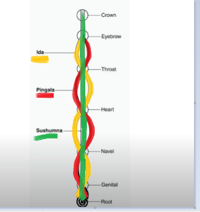 Vayu Nadi : Ida and Pingla