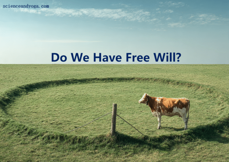 Do We have Free Will?