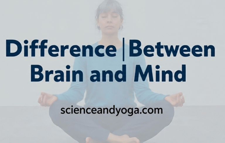 Difference Between Brain and Mind